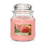 Świeca Yankee Candle Sun-Drenched Apricot Rose, średni słoik (411g)