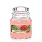 Świeca Yankee Candle Sun-Drenched Apricot Rose, mały słoik (104g)