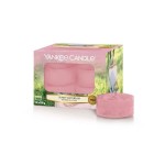 Tealight Yankee Candle Sunny Daydream