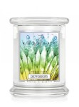 Świeca Kringle Candle Dewdrops, średni słoik (411g)